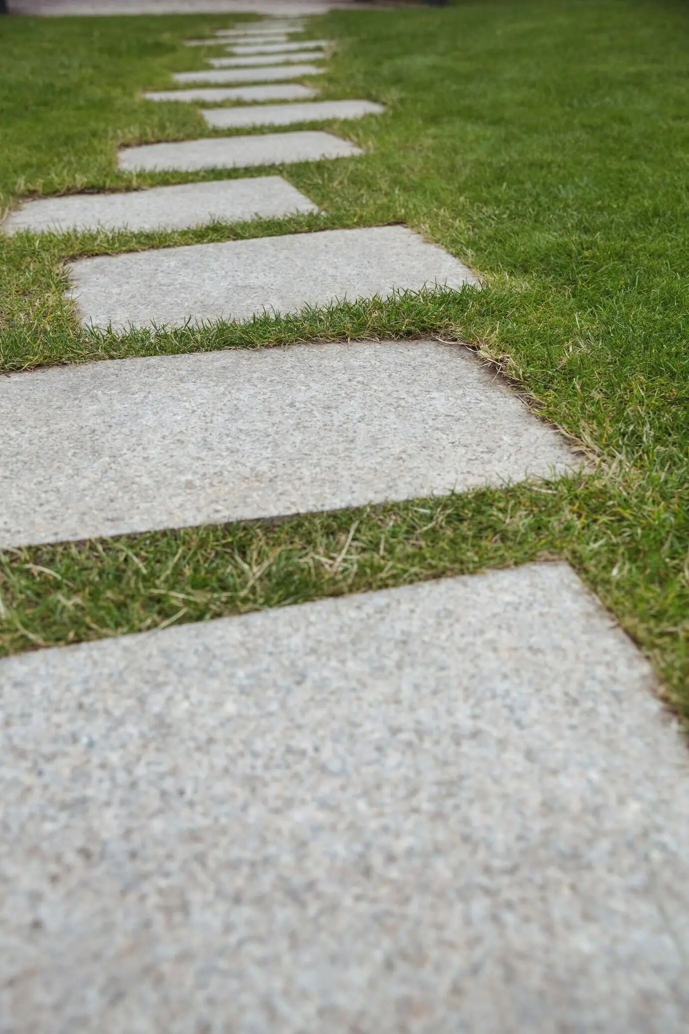 A cement path in the garden.